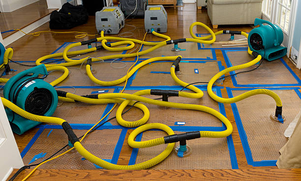 Professional Storm Water Damage Restoration technician working in Long Island City, NY
